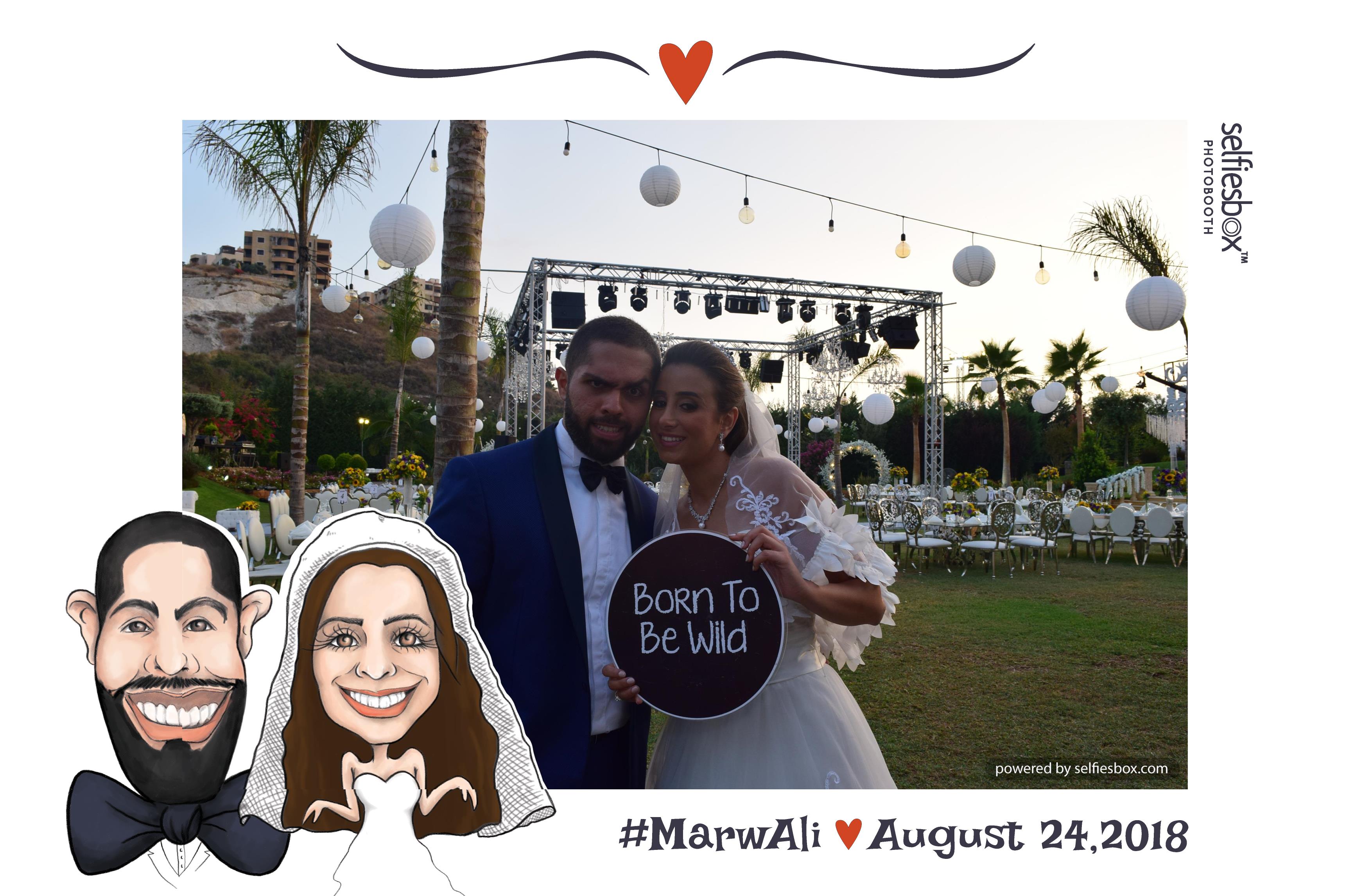 Ali Weds Marwa
